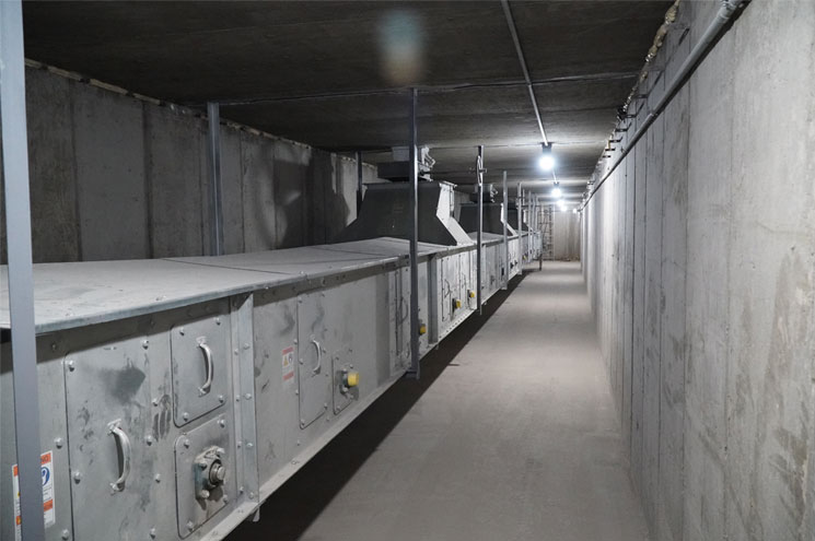 Belt Conveyor Issues