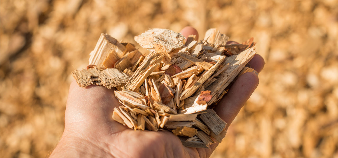 Biomass Applications